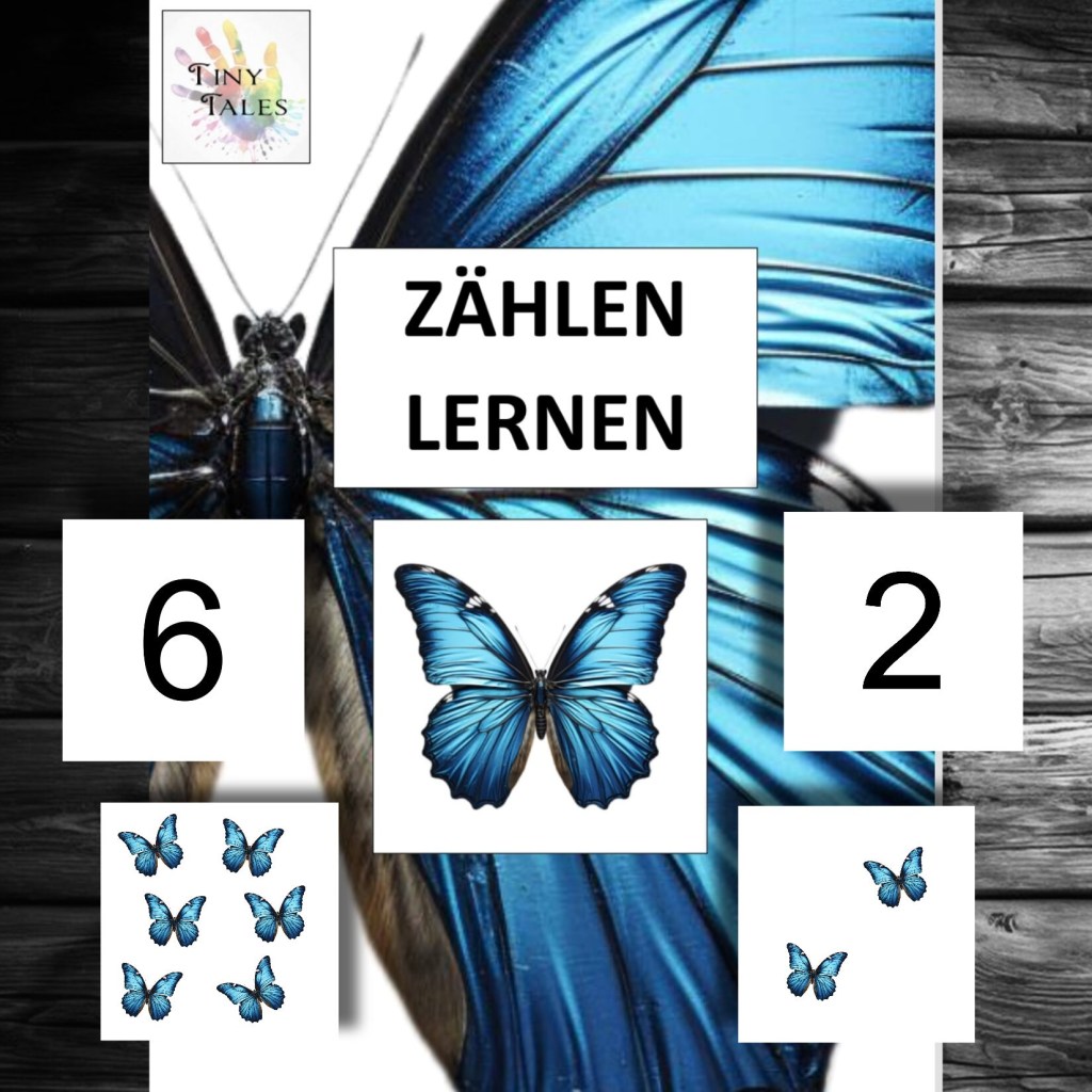 Count butterflies – Schmetterlinge&nbsp;zählen