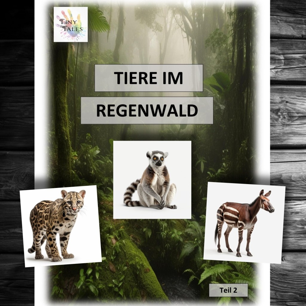 Rainforest animals –&nbsp;Regenwaldtiere