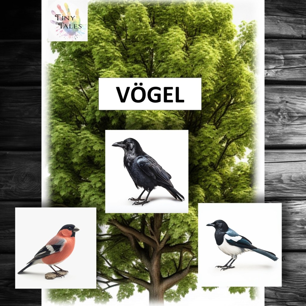 Birds – Vögel