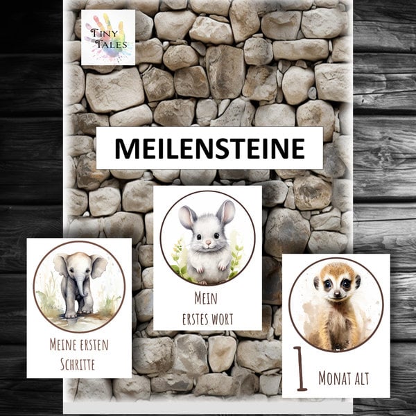 Milestones – Meilensteine