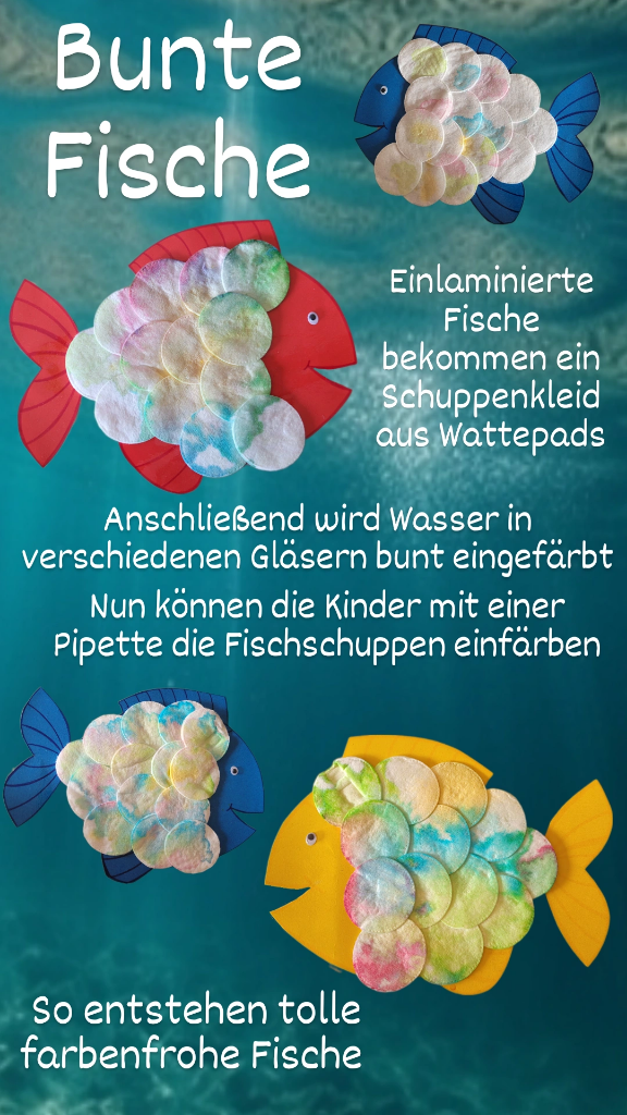 A colorful aquarium/Ein farbenfrohes Aquarium
