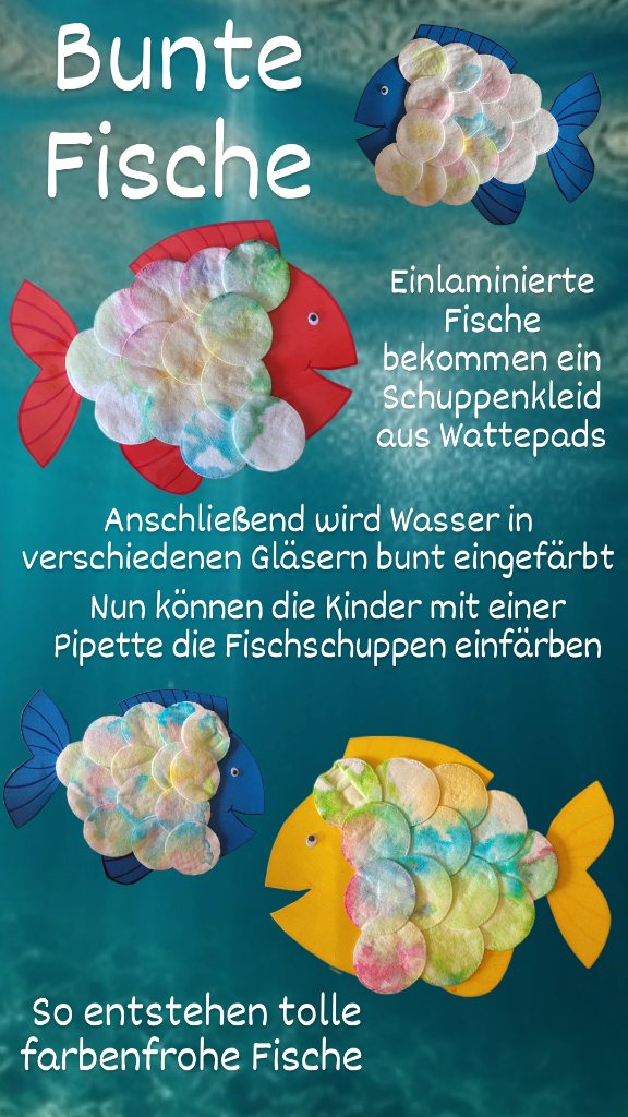 A colorful aquarium/Ein farbenfrohes&nbsp;Aquarium