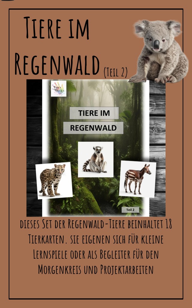 Rainforest – Regenwald