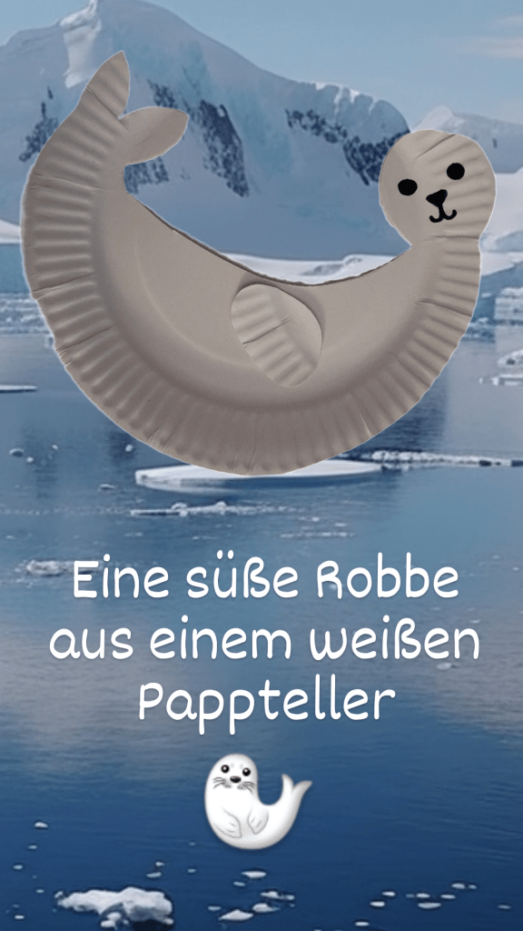 Cuddly seals/Knuffige Robben