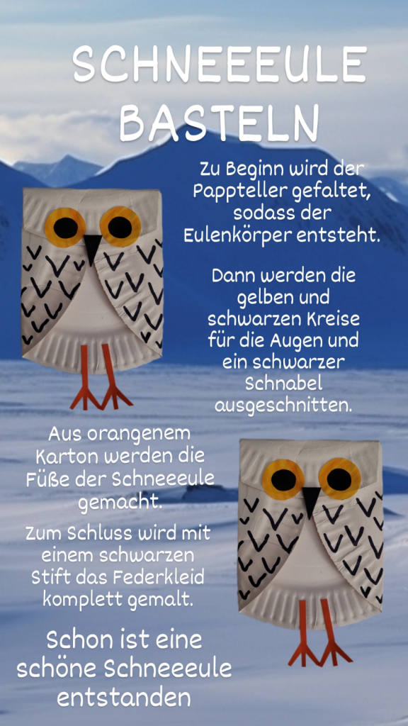Make snowy owls/Schneeeulen basteln