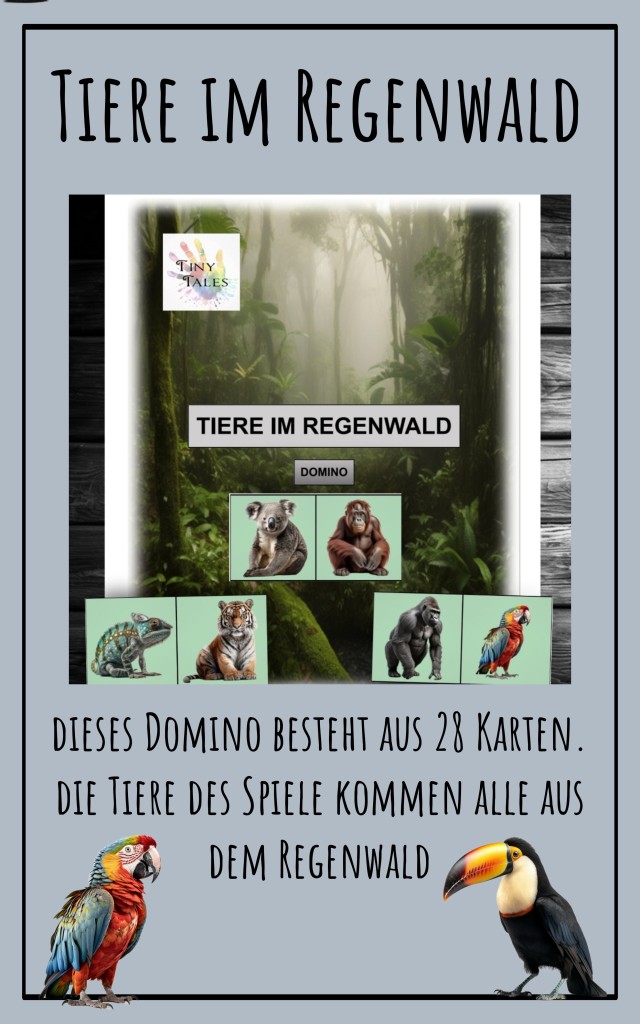 Rainforest – Regenwald