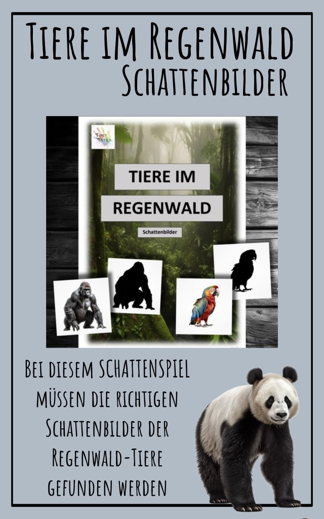 Rainforest – Regenwald