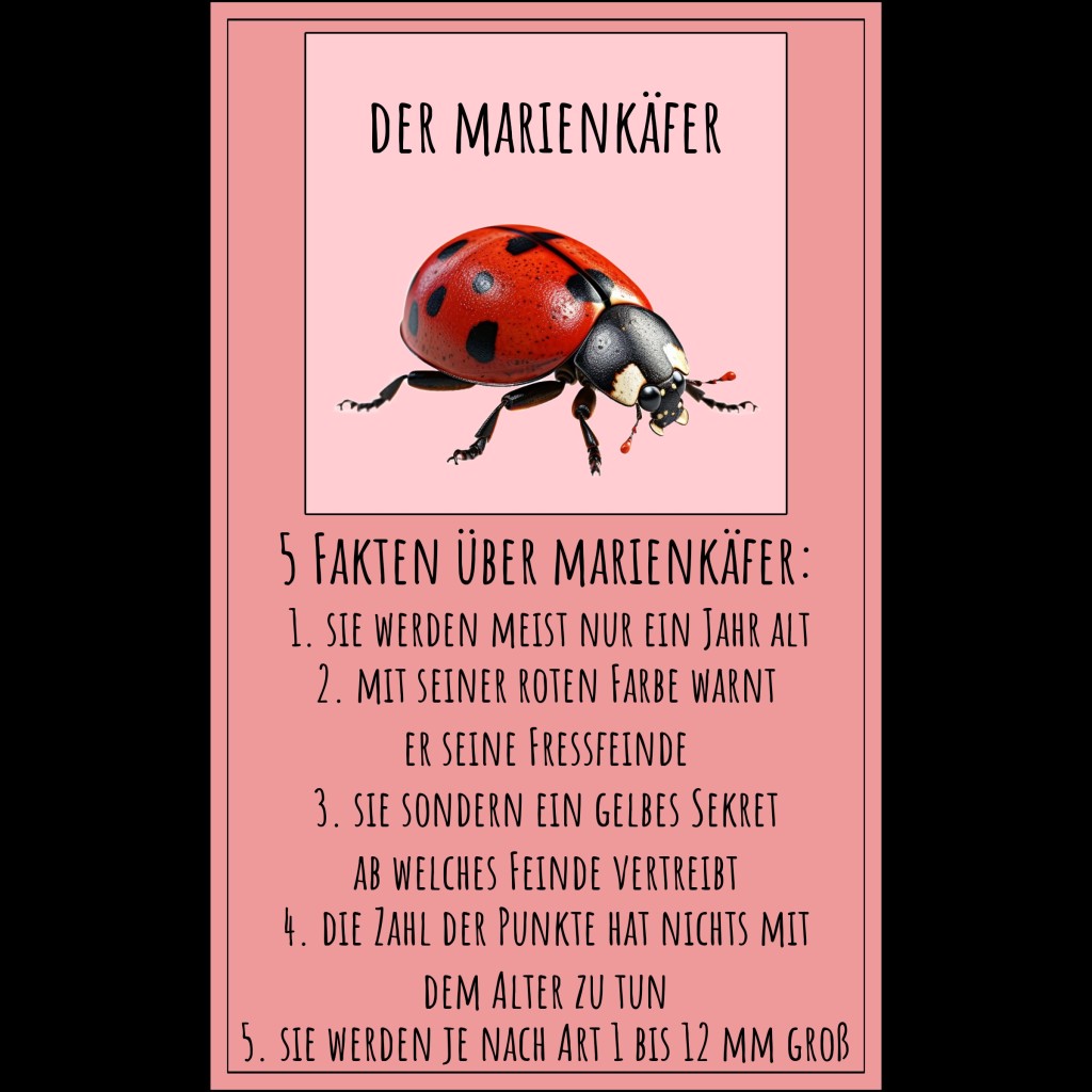 Creepy crawlies –&nbsp;Krabbeltiere