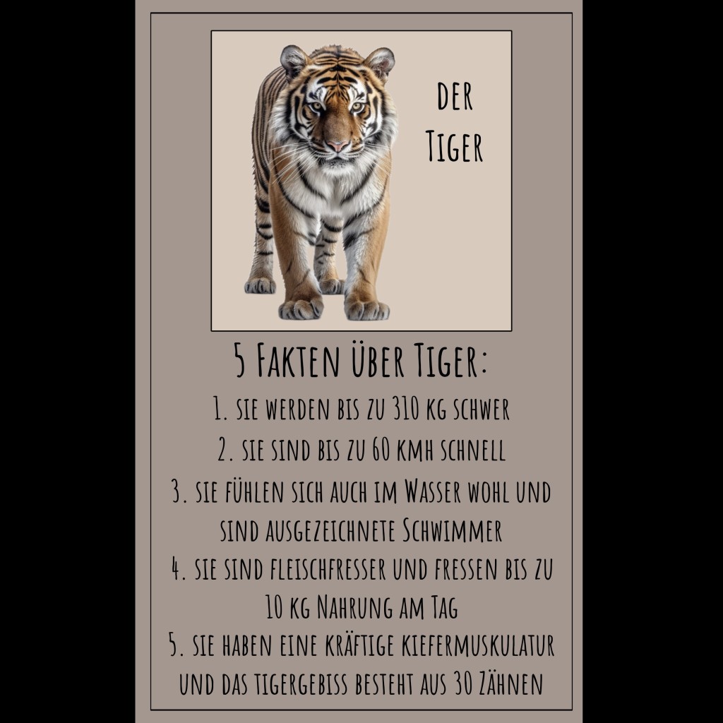 Rainforest – Regenwald