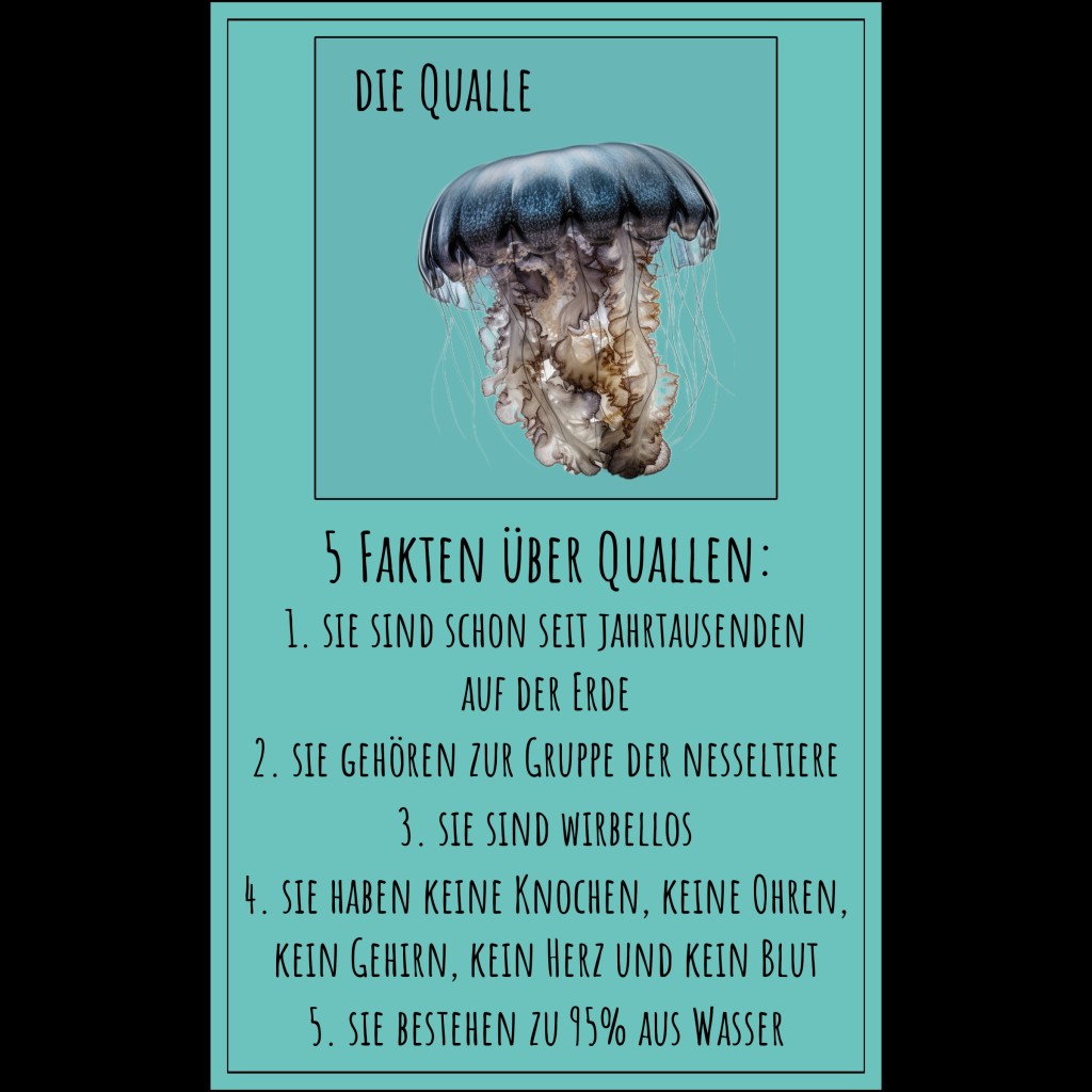 Aquatic animals –&nbsp;Wassertiere